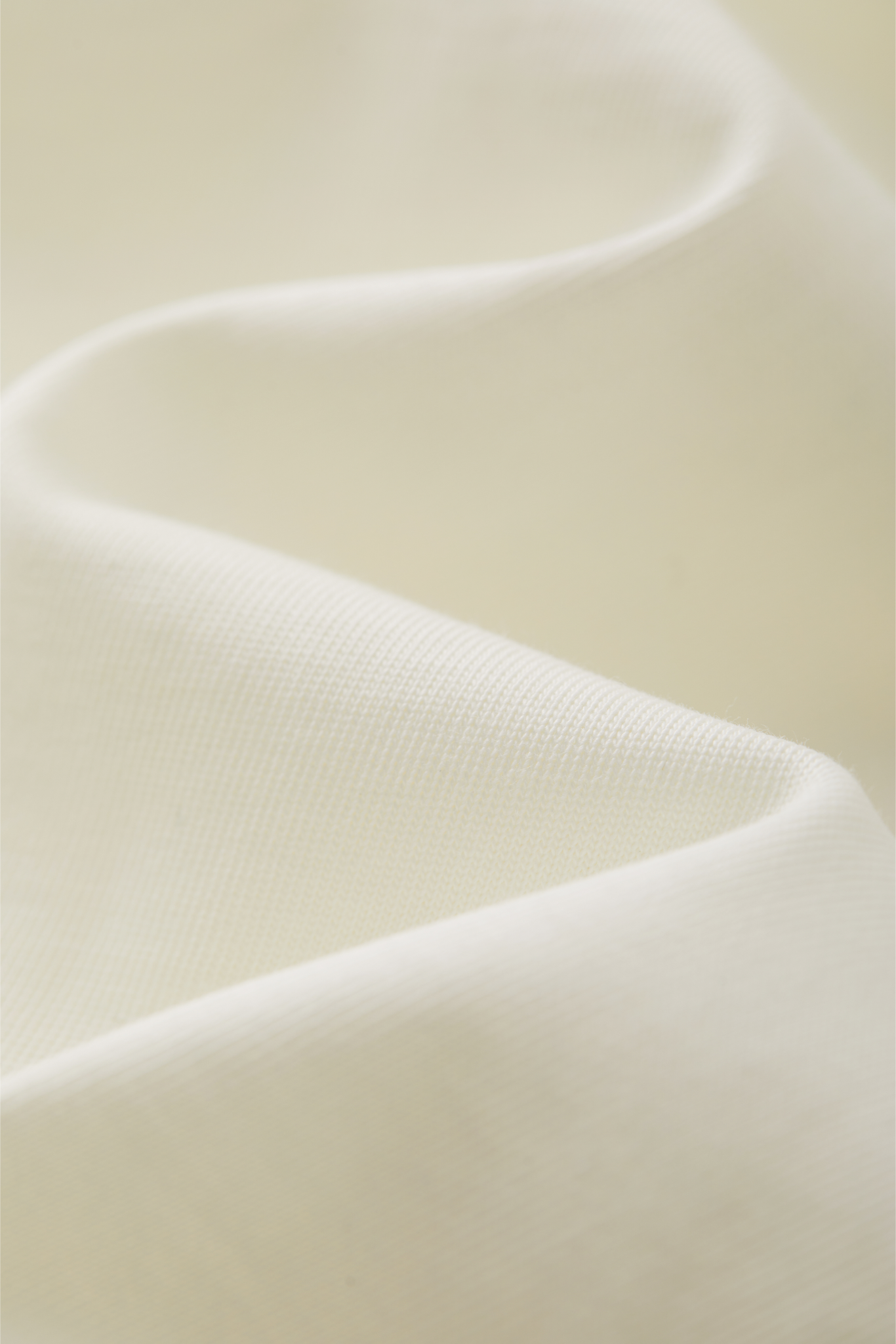 Fine Embroidery Monster House