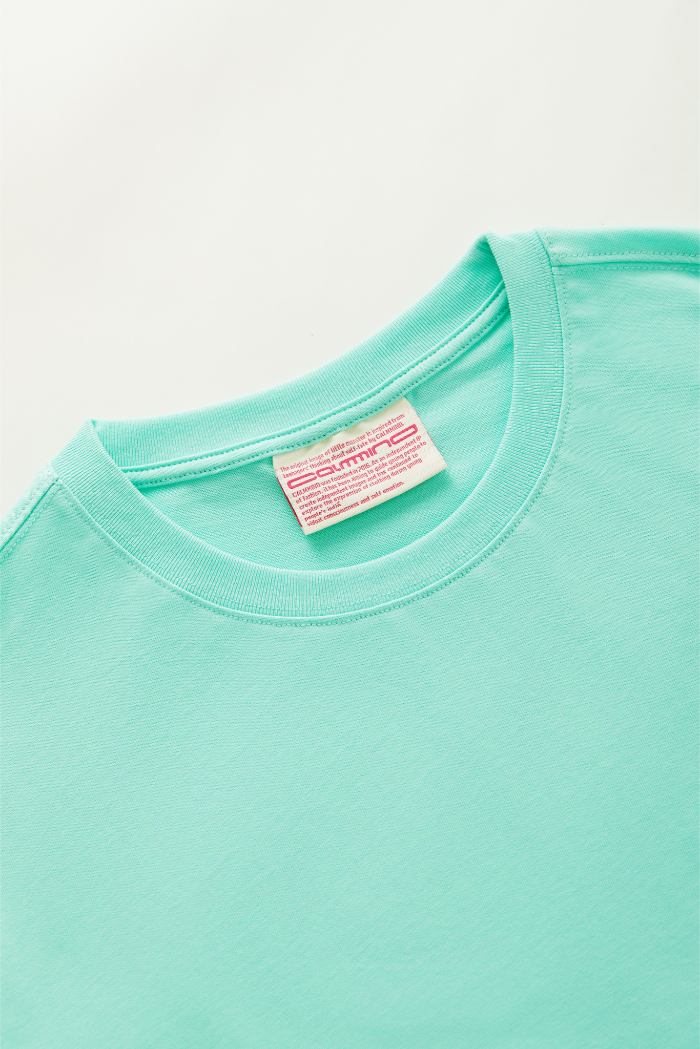 Fine Embroidery Monster House